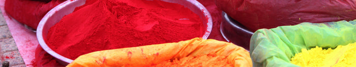 Holi in Delhi